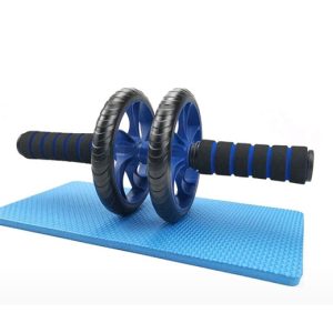 Double Wheel Blue Gym